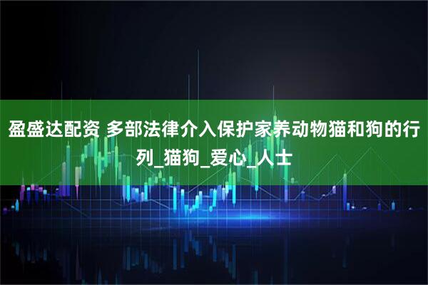 盈盛达配资 多部法律介入保护家养动物猫和狗的行列_猫狗_爱心_人士
