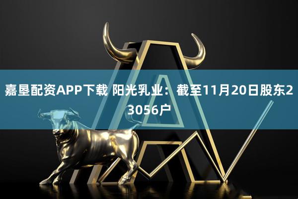 嘉垦配资APP下载 阳光乳业：截至11月20日股东23056户